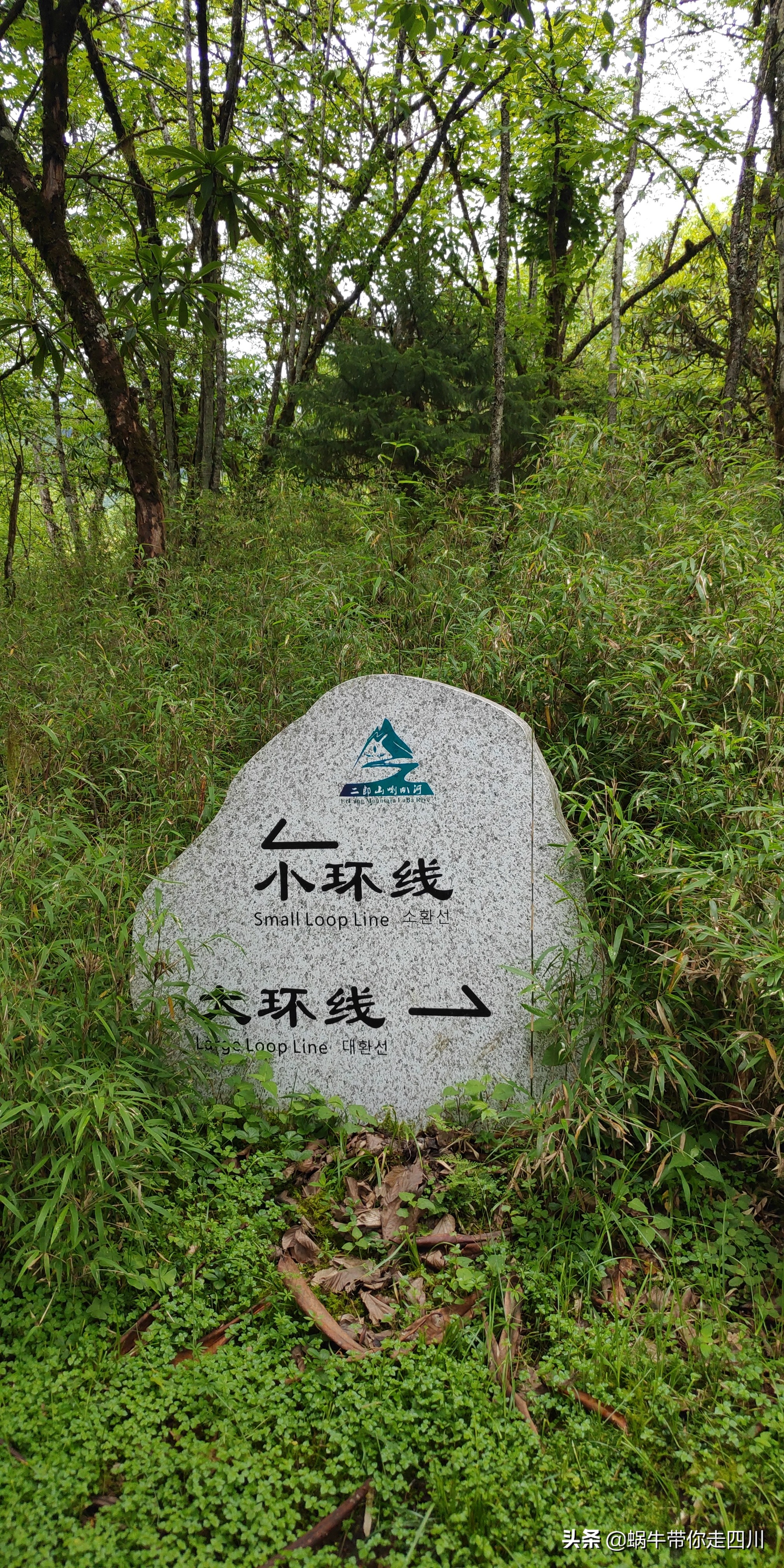 带小朋友出去看小动物,带小孩去海洋动物园