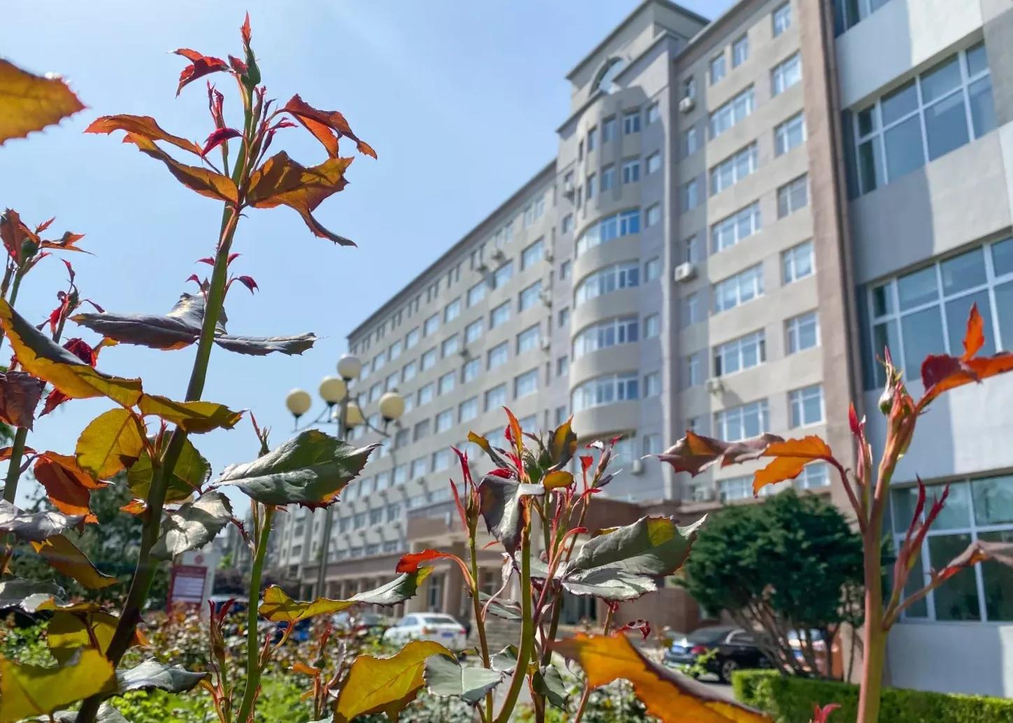 辽宁师范大学辽宁省一流课程,辽宁省普通高等院校