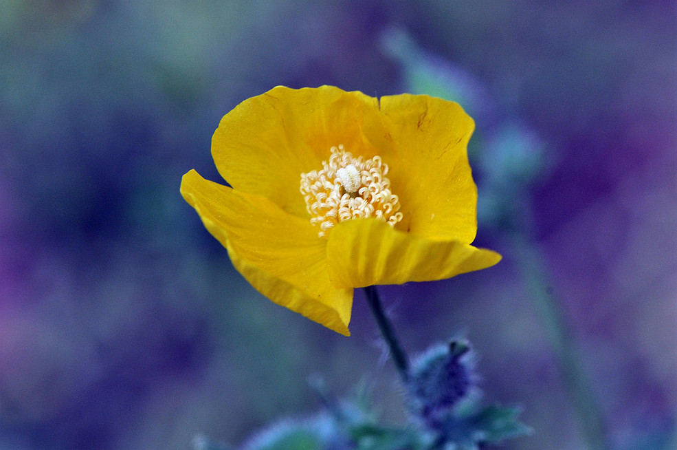 蓦然回首灯火阑珊处是什么深意,蓦然回首才发现留给你的全是伤害