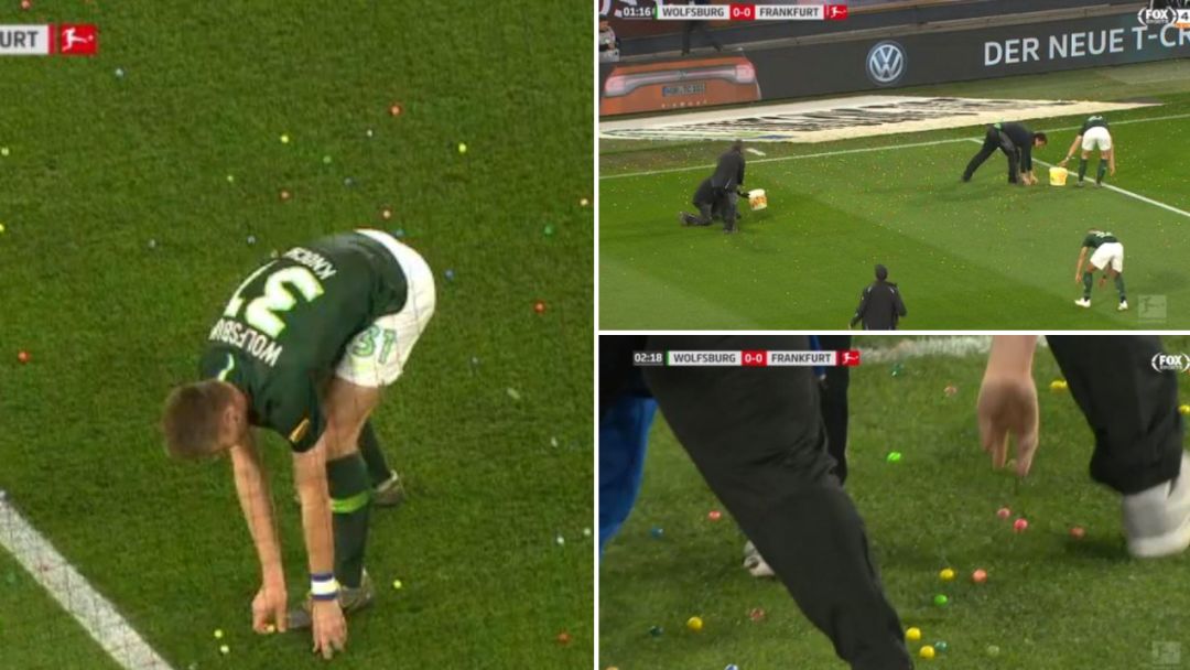 辣椒大葱西红柿芹菜,辣椒大葱西红柿洋葱