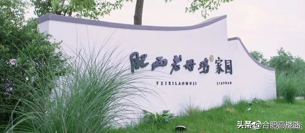 合肥五一旅游景点攻略大全,五一假期合肥旅游人气爆棚