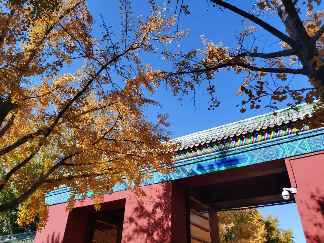 天坛和地坛区别,天坛对对碰桌游