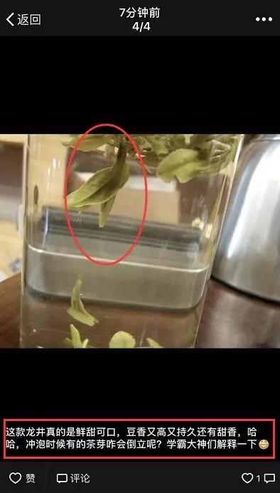 会倒立的才是好绿茶？我们给你做了这个实验