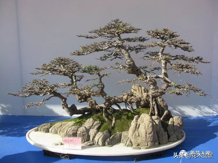 让你从厨艺小白变大神的100道菜,教你如何从一个小白变成大神