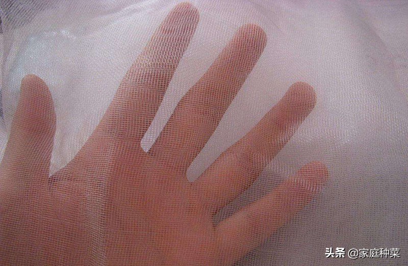 堆肥有虫怎么处理,堆肥长虫了还能用吗