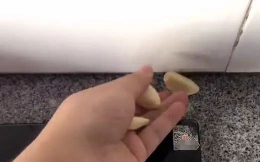 家里有黑色蚂蚁爬得很快,蚂蚁会因为被开水烫过而搬家吗