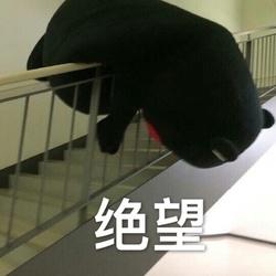 如果挂了，谁来继承我的游戏账号，手办以及漫画书？