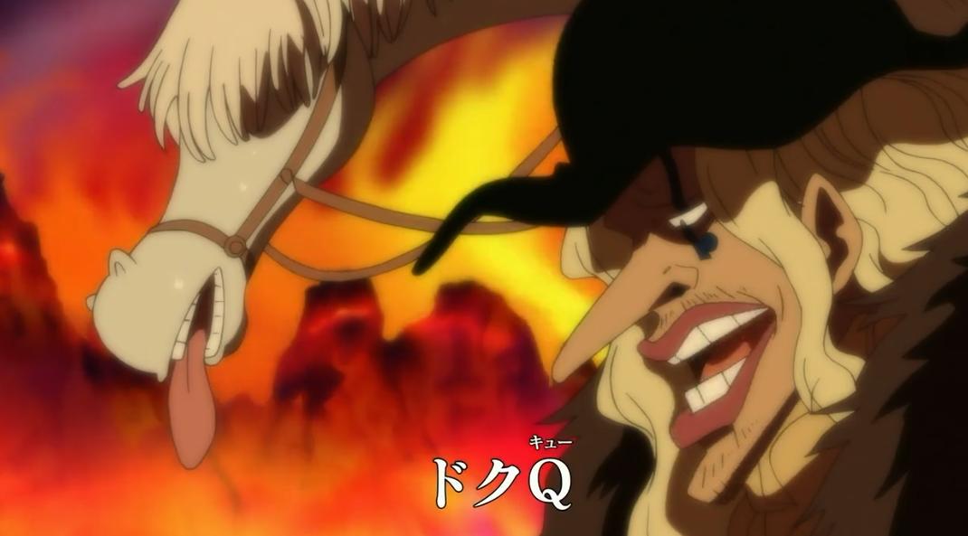 海贼王新世界所有船员,海贼王里的船医