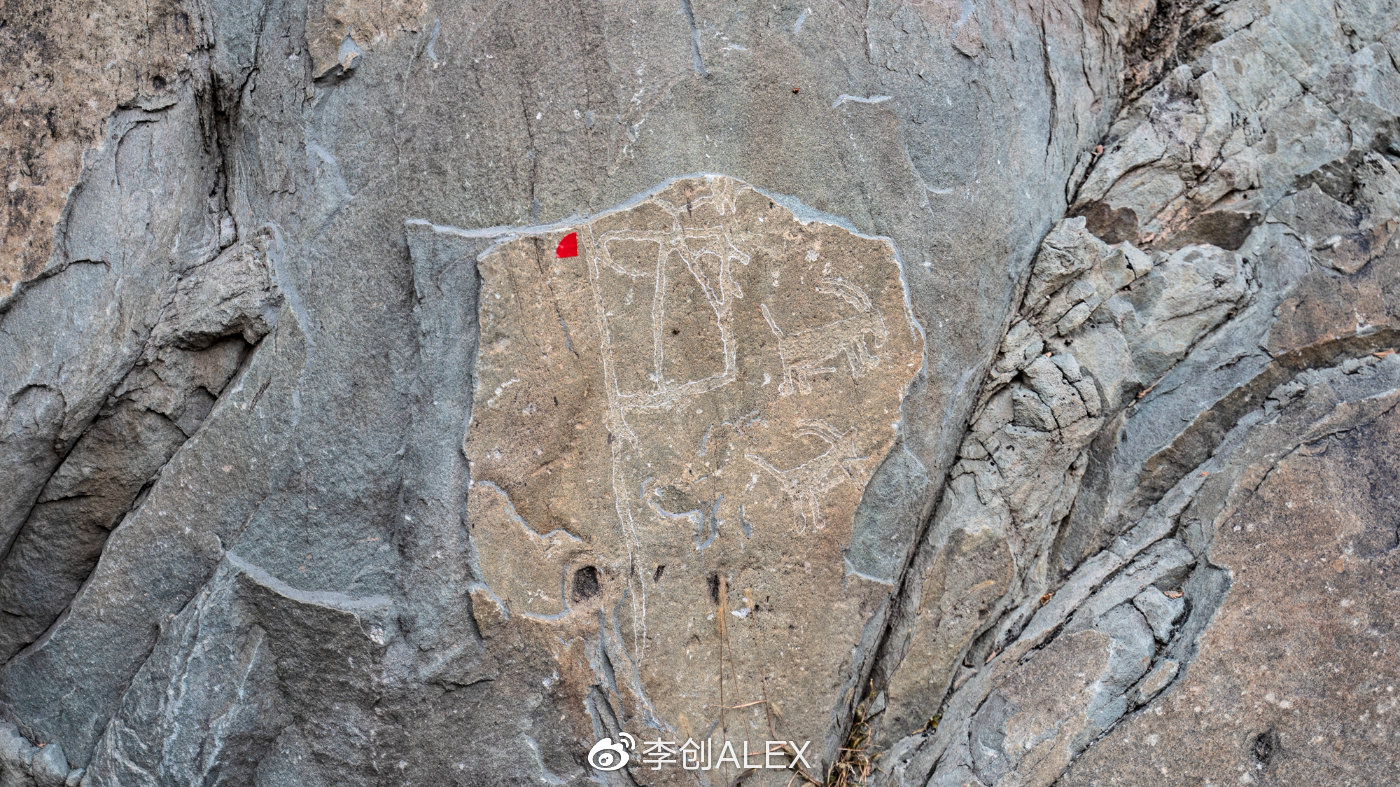 来宁夏玩的攻略,从宁夏去内蒙怎么玩