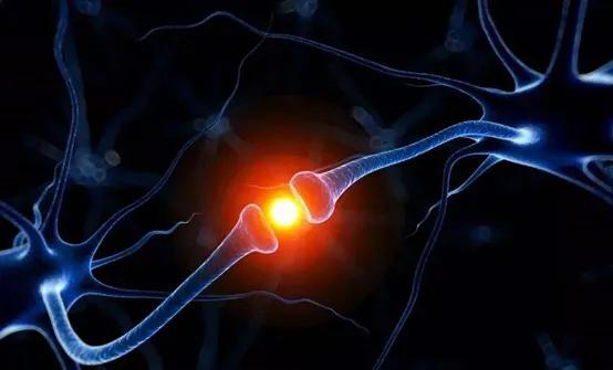 早教机构早教课程,早教中心的课程到底上些什么呢