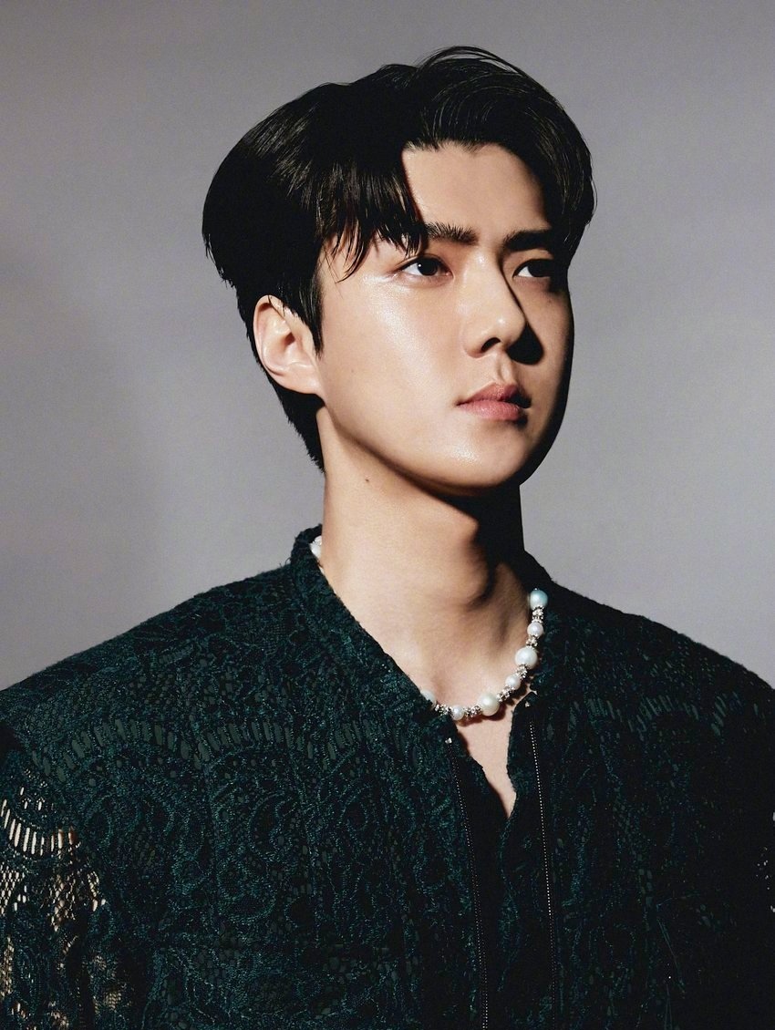 exo五巡演唱会边伯贤朴灿烈互动,exo回归专辑伯贤图片