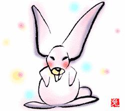 属相与婚姻并没有直接的关系,以属相决定婚姻方向的依据是什么