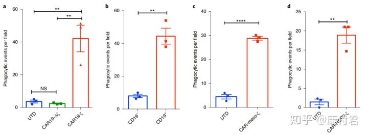 t细胞免疫治疗,t细胞治疗癌症
