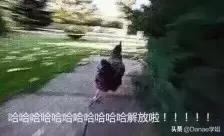 提高英语口语常见句型的方法,提高英语口语的有效方法