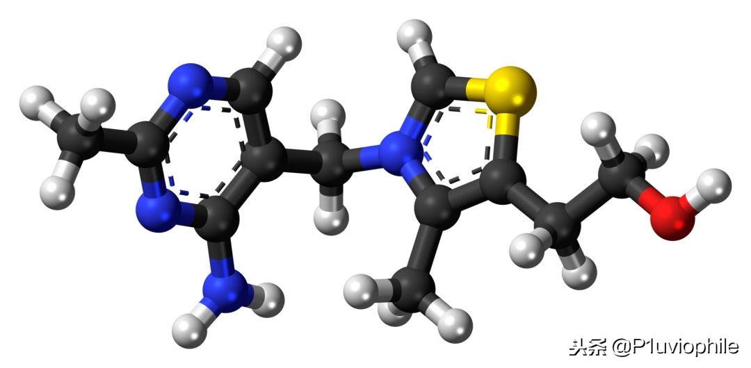 日本脚气病历史,为什么日本大多数死于脚气