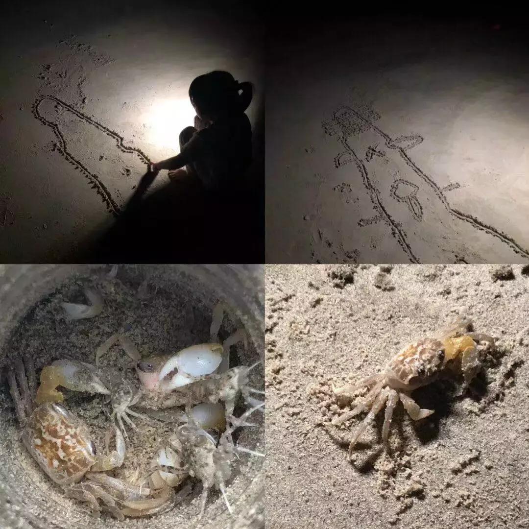 马尔代夫度假岛沙屋,马尔代夫沙屋