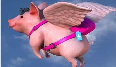 让人惊掉下巴的赚钱法,惊掉下巴会怎么样