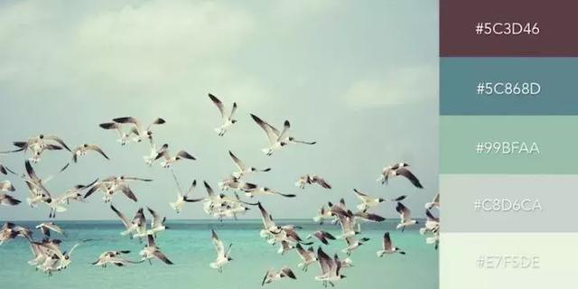 999张照片模板,999999999的创意图片