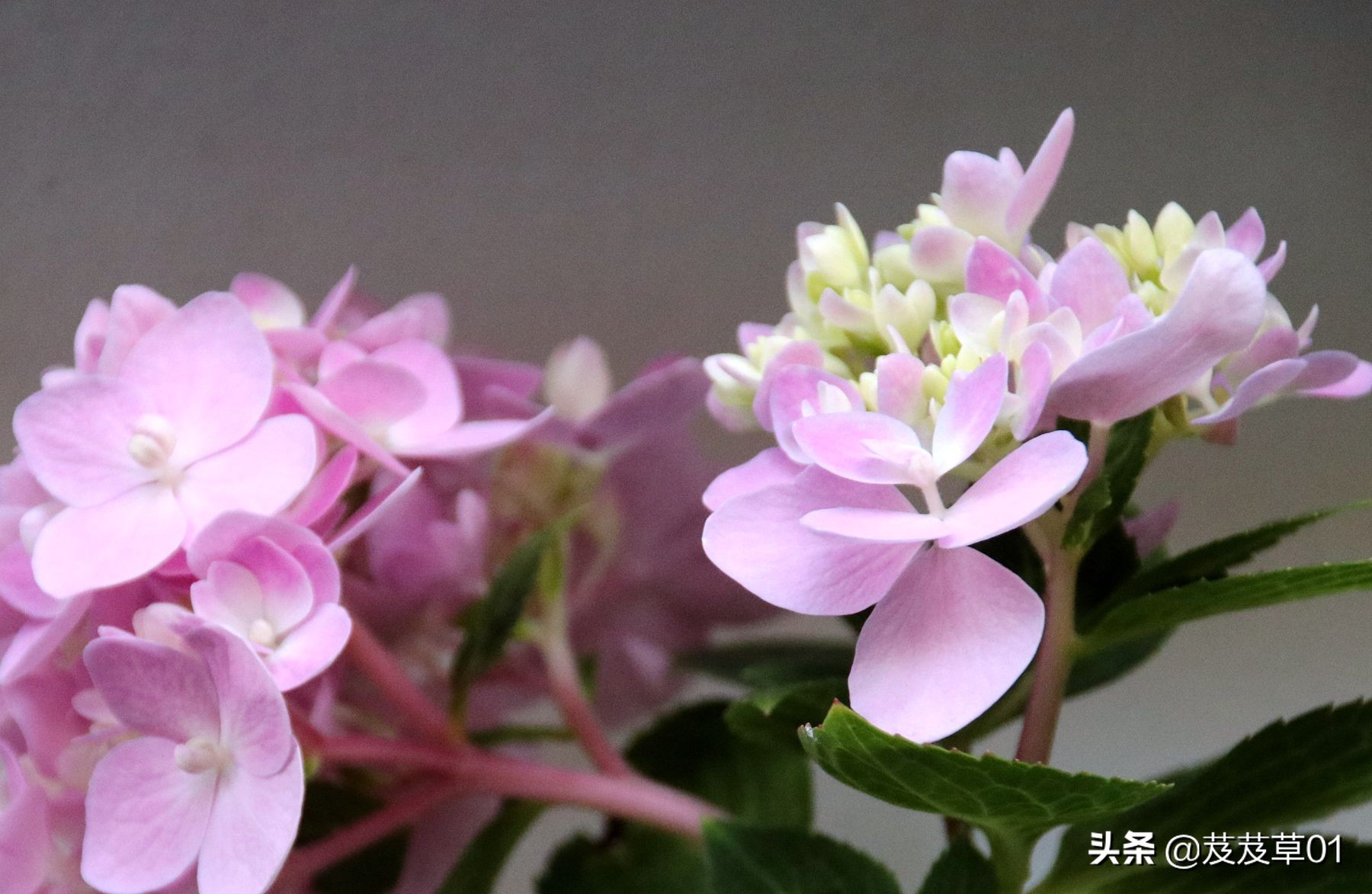 与老年人沟通的说话技巧,老年人语言沟通技巧