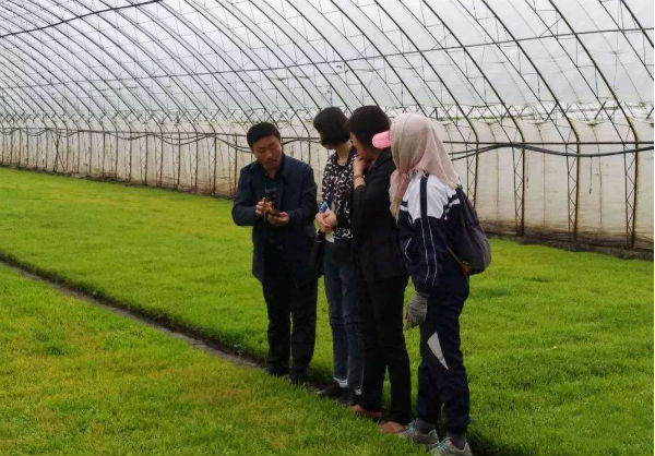 水稻苗床的管理方法和技巧,专家讲解水稻病害防治