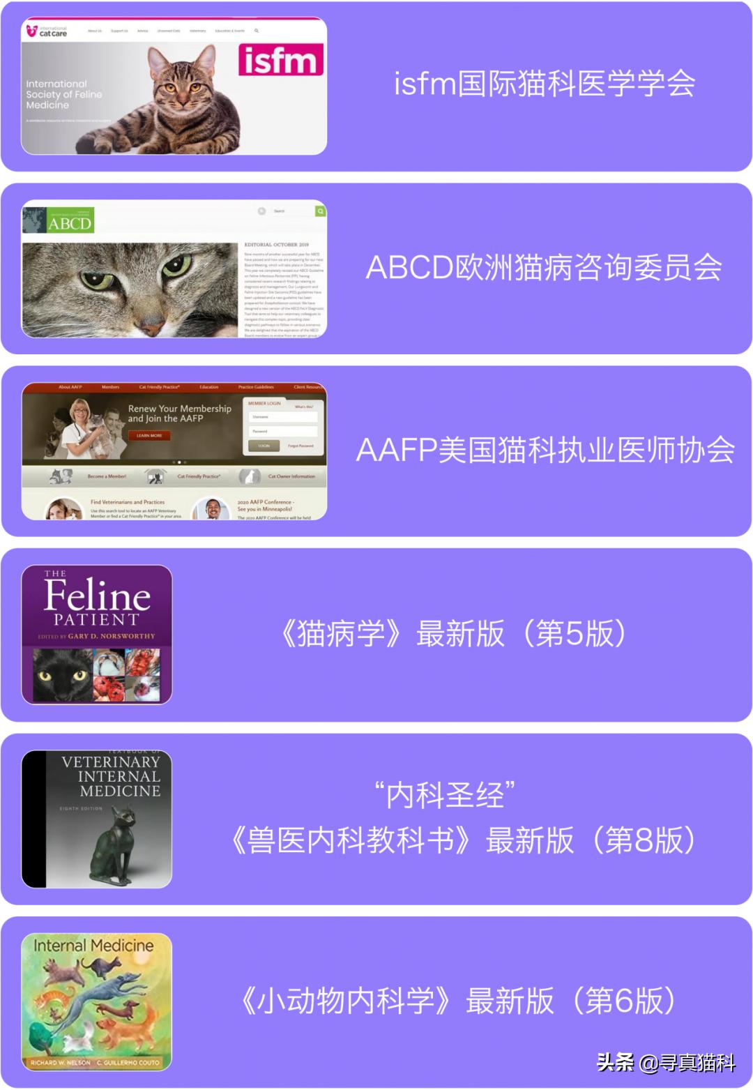 猫子宫蓄脓会造成白细胞偏低吗,猫子宫蓄脓用不用戴头套