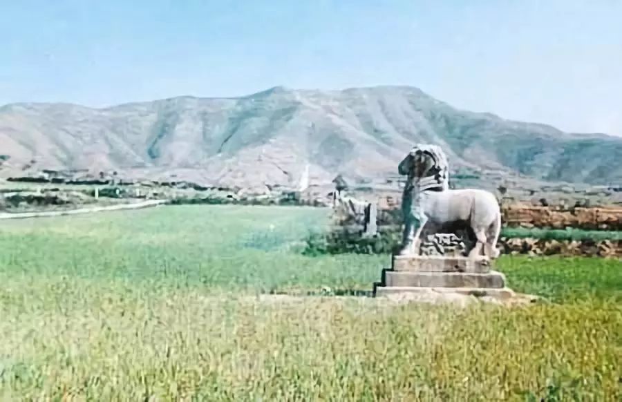 这就是渭南的网红圣地,这就是陕西