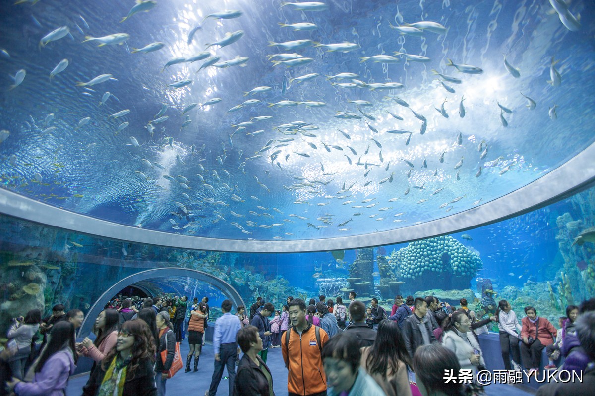 国内最大的海洋主题公园,世界最大的中国海洋公园