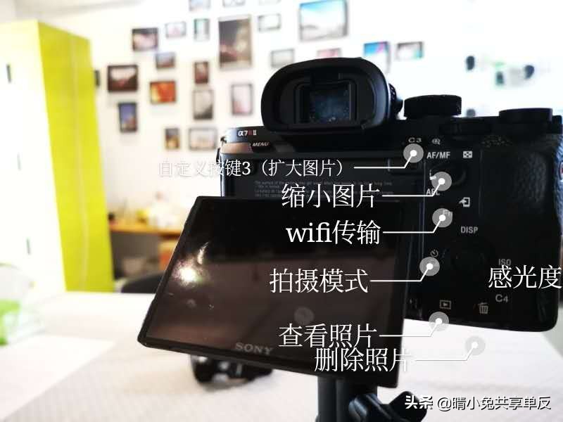 索尼a7r2配佳能70200的镜头,索尼a7r2搭配佳能单反镜头