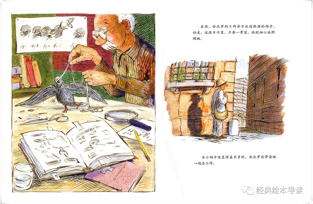 略带辛酸的永恒友谊——《鸽子的天使》导读