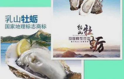 200万吨生蚝滞销完整视频,山东省生蚝滞销