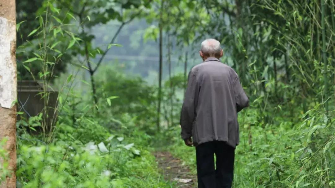 他曾险遭土匪活埋!九旬老兵寻救命恩人
