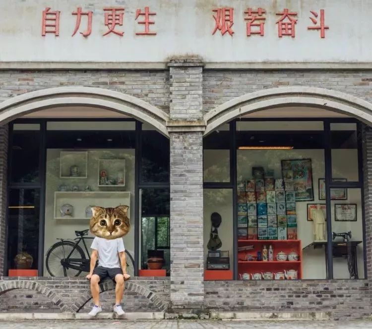 成都出发，一路向西的“旅行列车”年底开通！沿途好多……