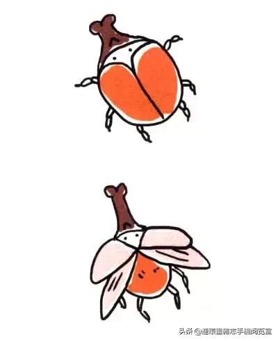可爱的小昆虫简笔画,我认识的昆虫简笔画