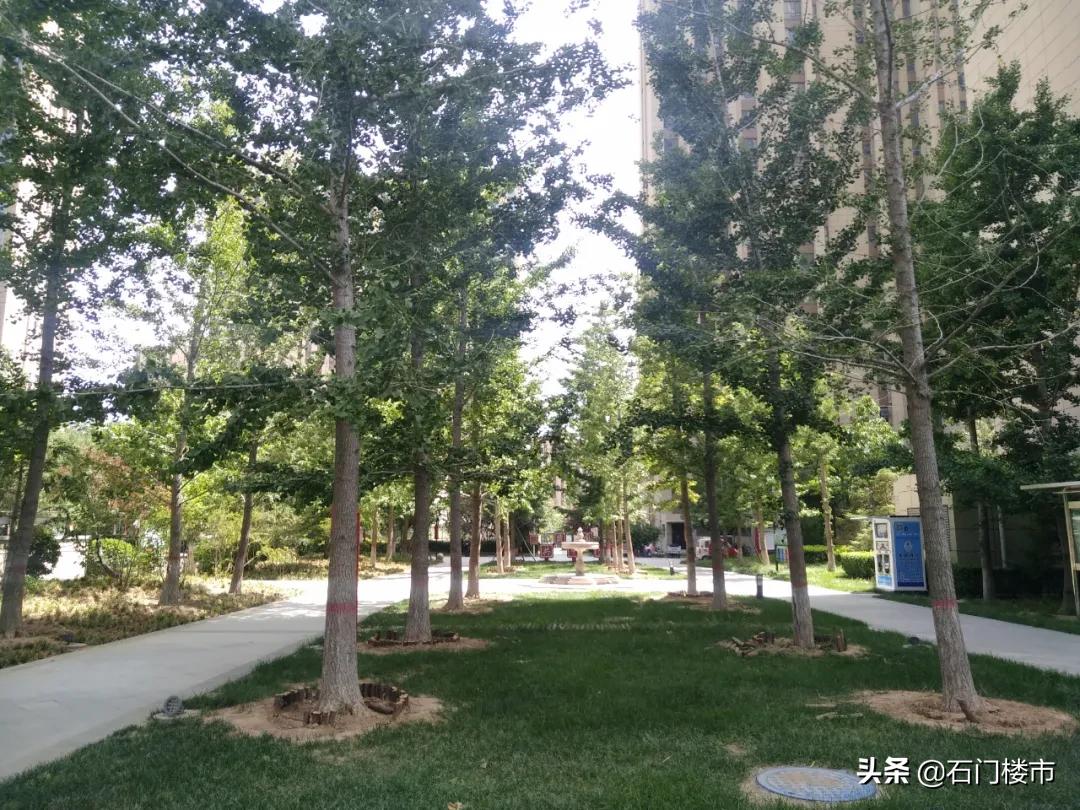 实探这个小区值得买吗,实探房价