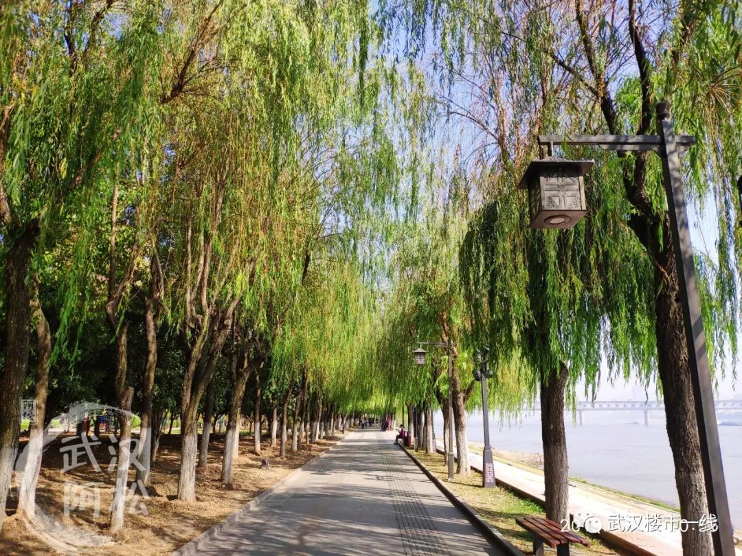 内环一线小户型新盘,内环一线小户型楼盘