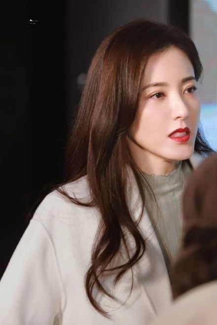 曾黎美貌刘烨,曾黎年轻时的颜值秦海璐评价