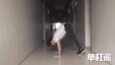 自由倒立撑训练方法,初学者如何掌握倒立撑