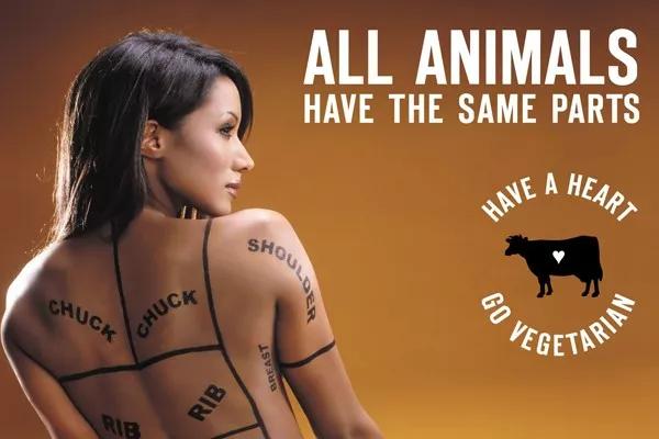 西方政治正确大逃杀:女权、LGBT、黑人谁能吃鸡?