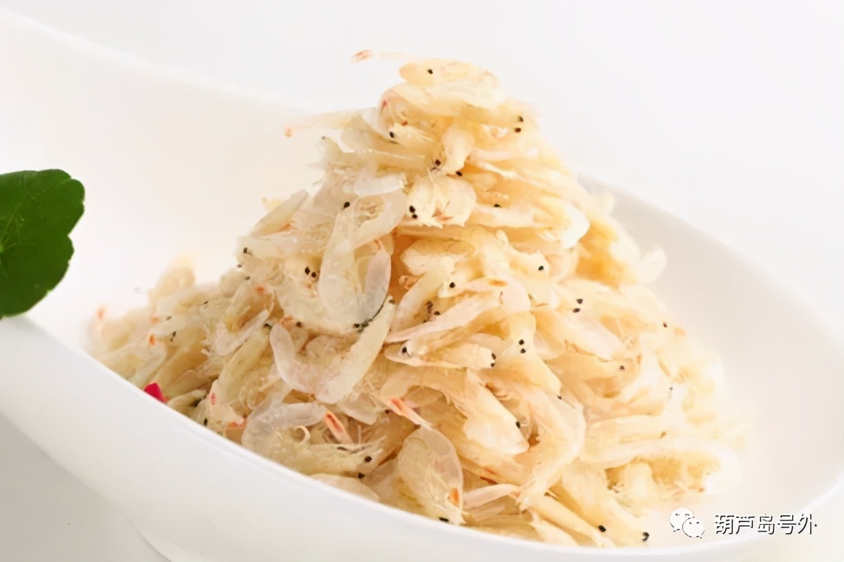 辽宁省内的葫芦岛市简介,辽宁省葫芦岛市各区