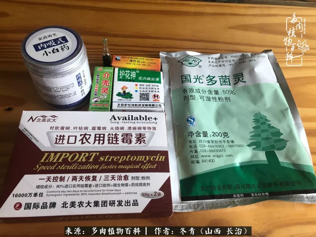 新手养多肉知道这4点打好基础,阳台上养多肉的正确方法