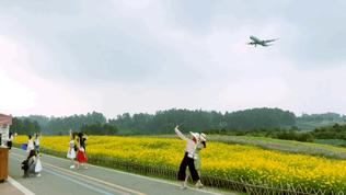 双流哪里可以赏花看飞机,双流附近赏花攻略路线