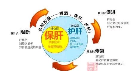 酒精性肝病的定义及发病机制,酒精性肝病和酒精性肝硬化