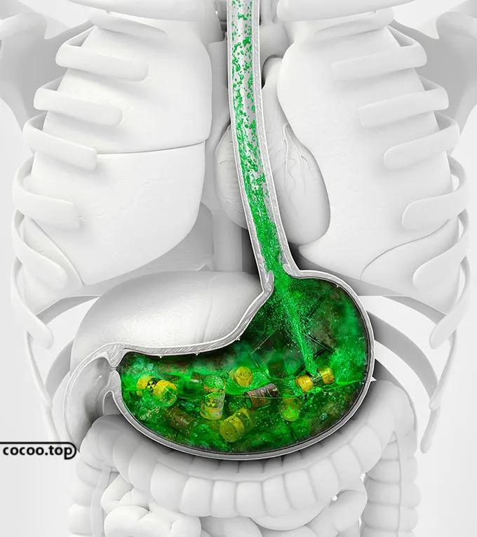 运用了谐音双关的广告语,谐音双关广告语的特点