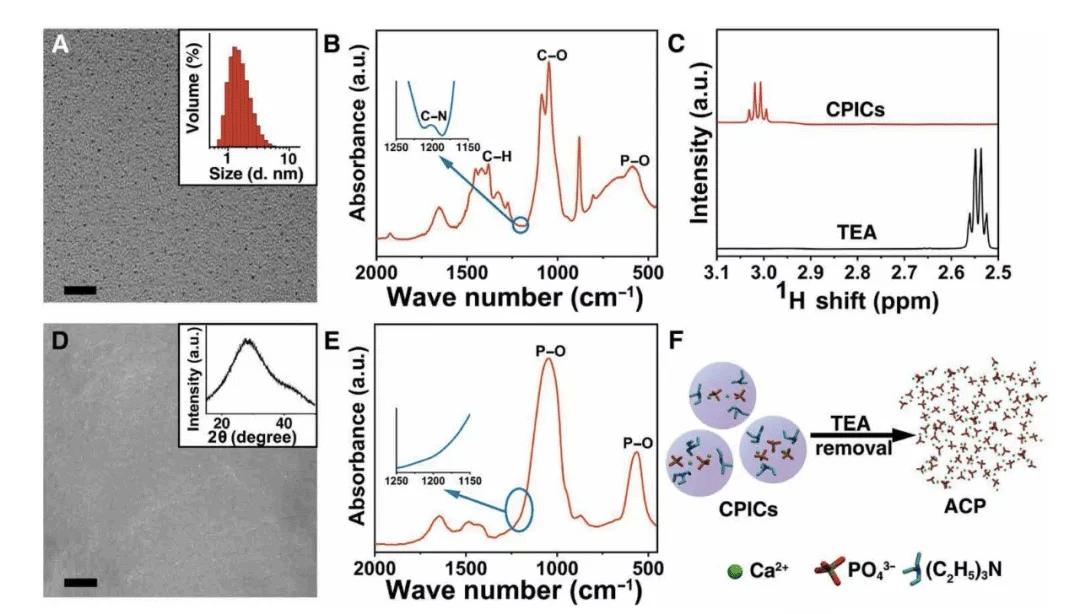 浙江大学牙釉质修复最新,浙江大学牙齿再生术