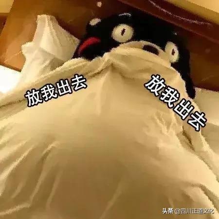 四川人说普通话为什么那么搞笑,当四川人说普通话有多不普通