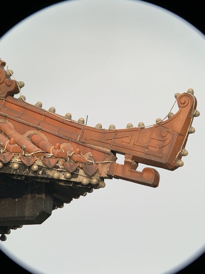 森林人单筒手机望远镜测试,iphonexr手机望远镜