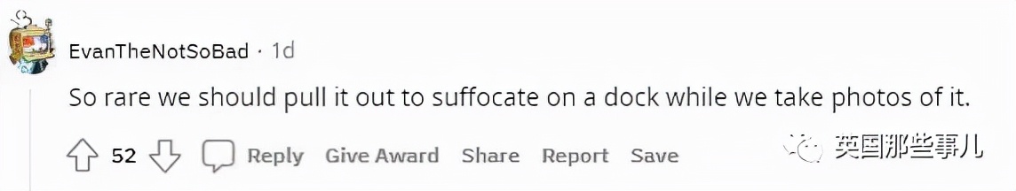 鲨鱼身体，猪猪的脸？意大利船员，打捞到了一只猪脸鲨鱼...