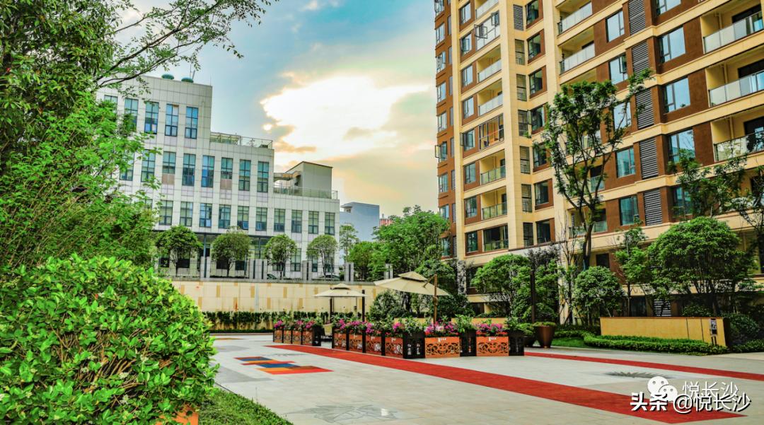 同价位，选精装现房or毛坯期房？还有德思勤商圈加持，近青园小学