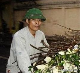 越南旅游区的厕所,越南旅游上厕所要钱吗