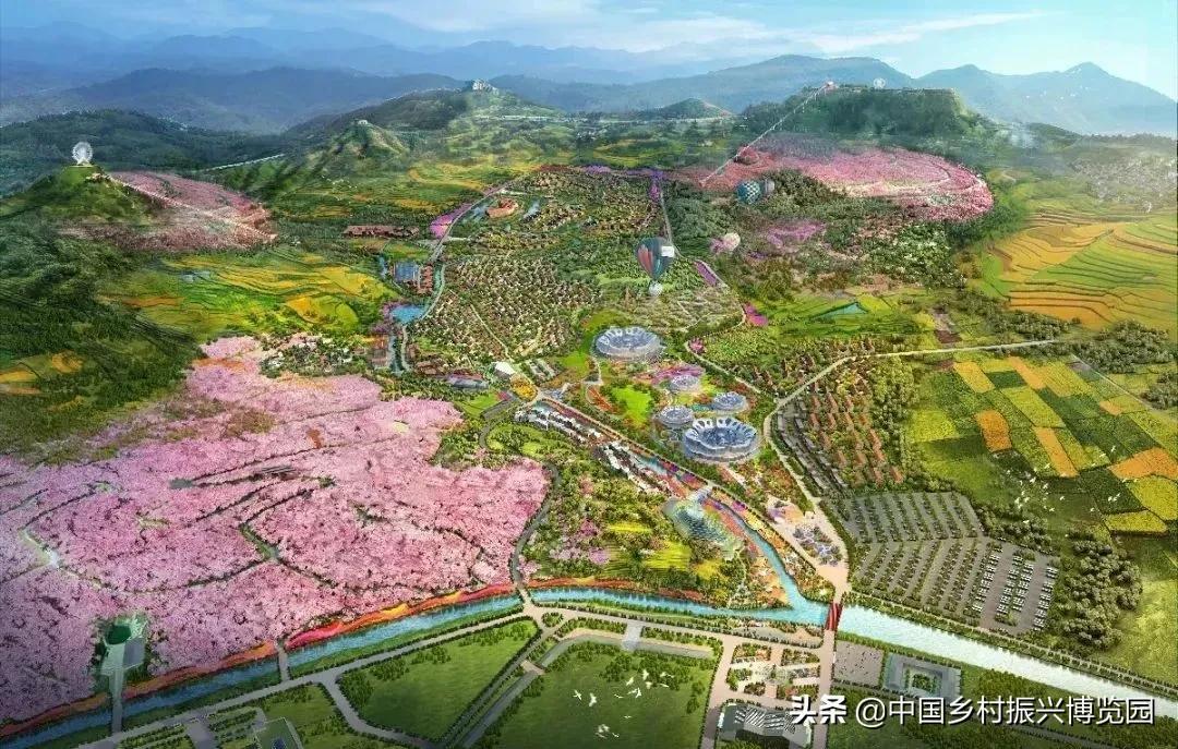 井陉人做了什么,井陉优秀人物